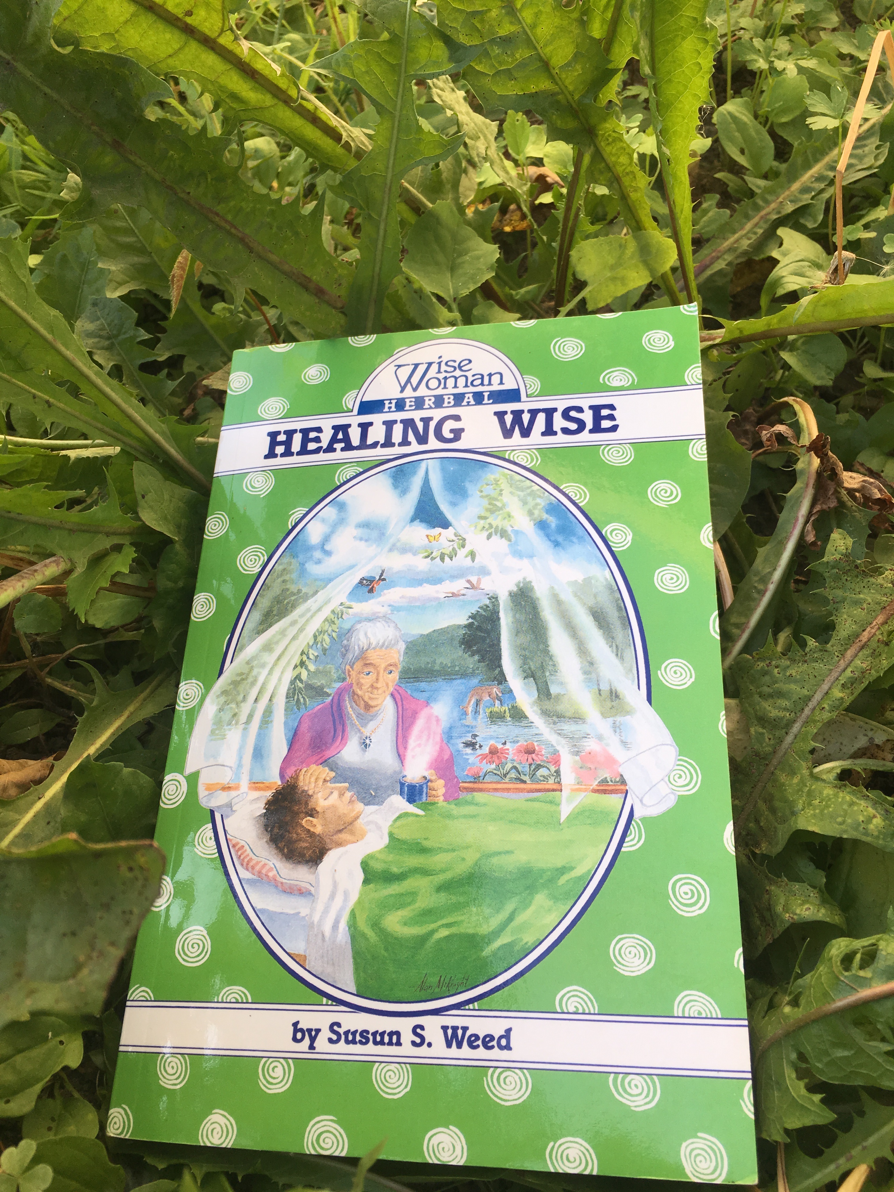 Book Recommendations: Susun Weed’s Healing Wise; Wise Woman Herbal for the Childbearing Year & New Menopausal Years