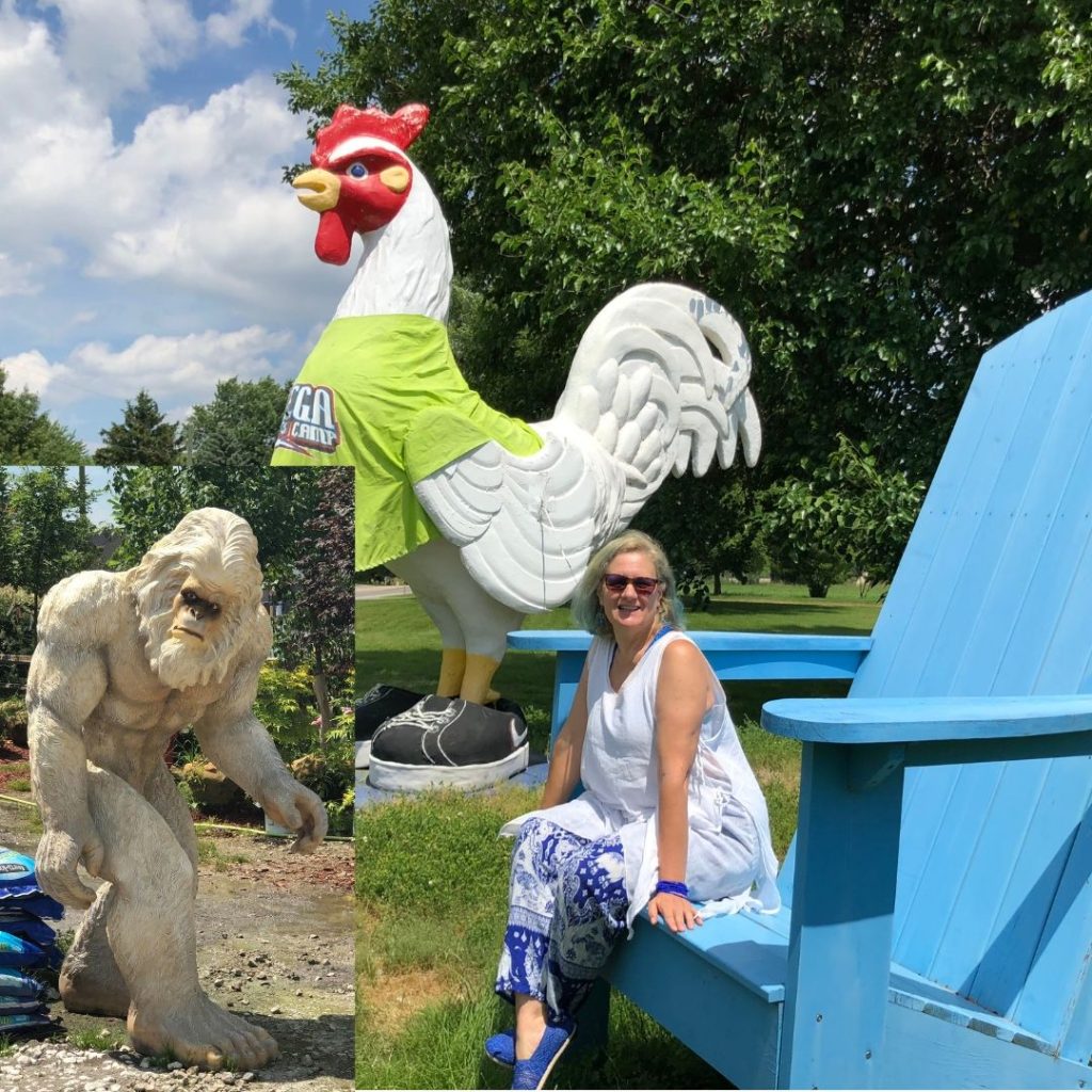 Roadside attraction of oversized chicken wearing a t-shirt and a Big Foot garden gnome