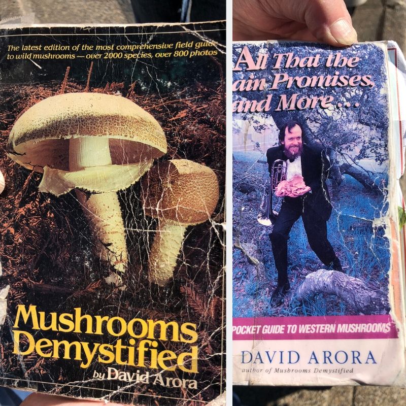 Two books on mushrooms - Mushrooms Demystified and  All That the Rain Promises
