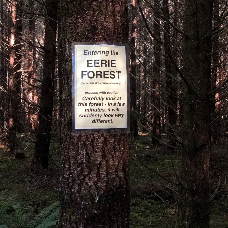Eerie forest sign telling you to take a close look and the forest seems to change