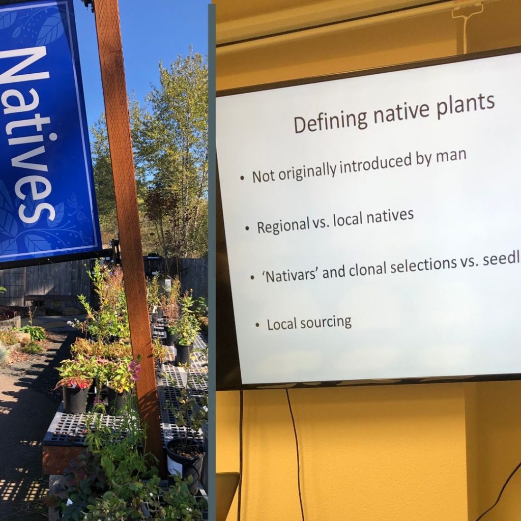 Native Plants seminar at nursery