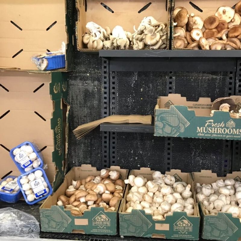 mushroom display at supermarket