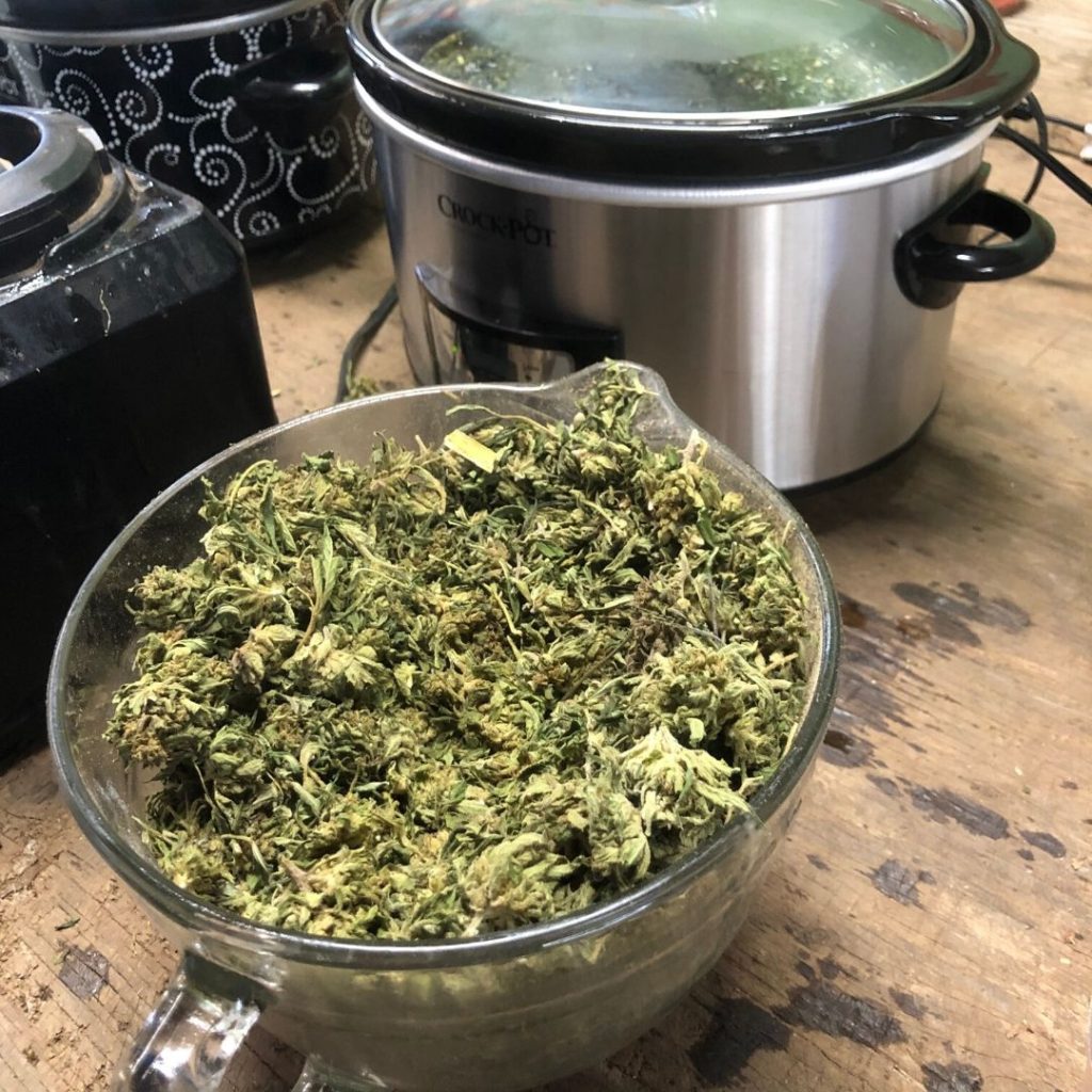 hemp bud in the glass measuring cup, another key for CBD cream