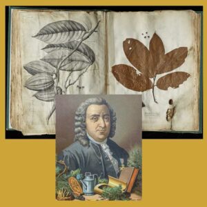 fun fact about chocolate Sir Hans Sloane image in front of his book with illustration and real cacao tree leaves