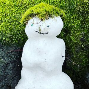 snow man with moss hair