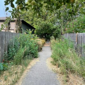 A secret sidewalk found on Tim's 385 miles exploration of Corvallis