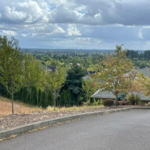 view of Corvallis OR from Tim Holt's walk